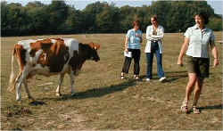 Jane - "I could soon wear the legs down on that !"