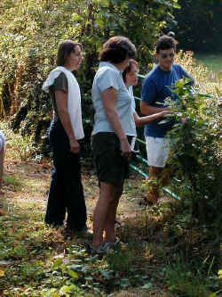Jane - "I know it's a plant, Avril, but which one ?"